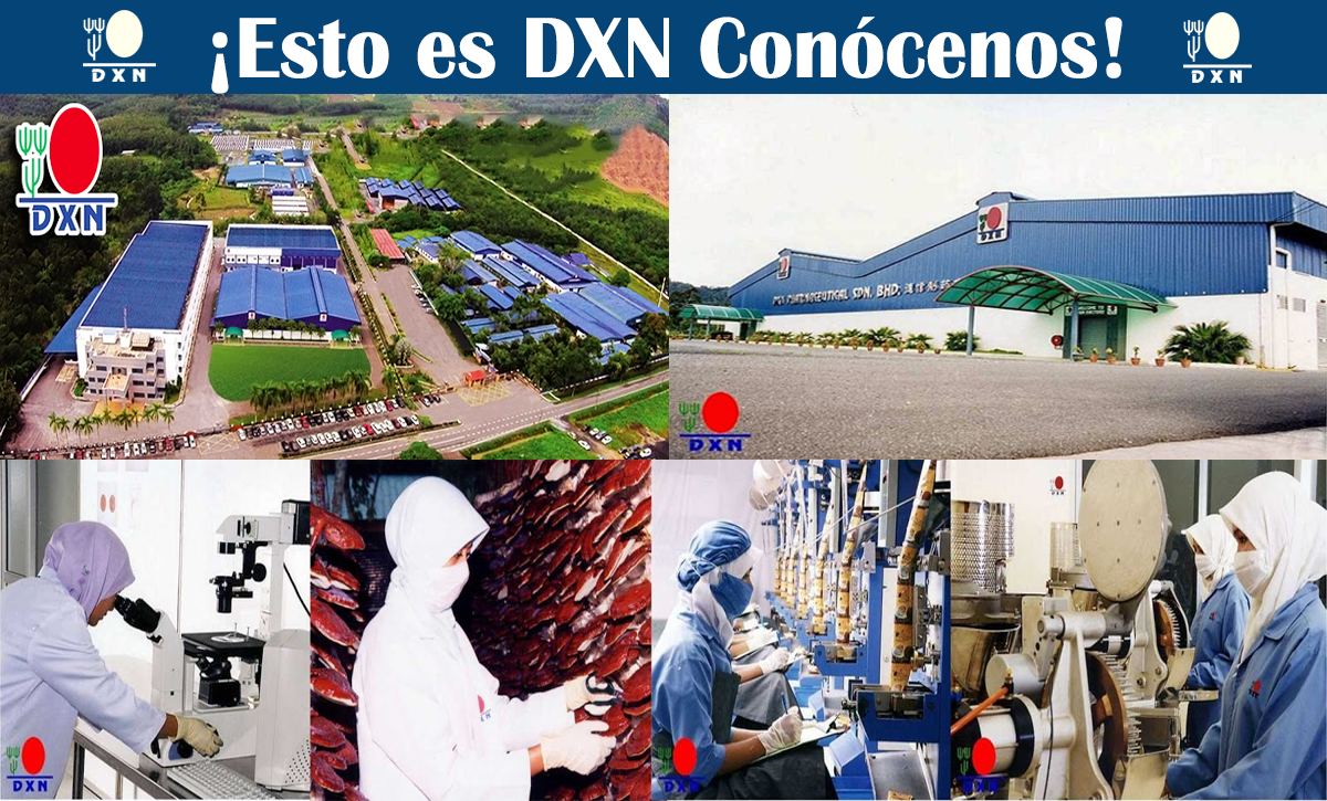 DXN es una empresa de marketing multinivel (MLM) Fundada por el Dr. Dato Lim Jin Siow en 1993.